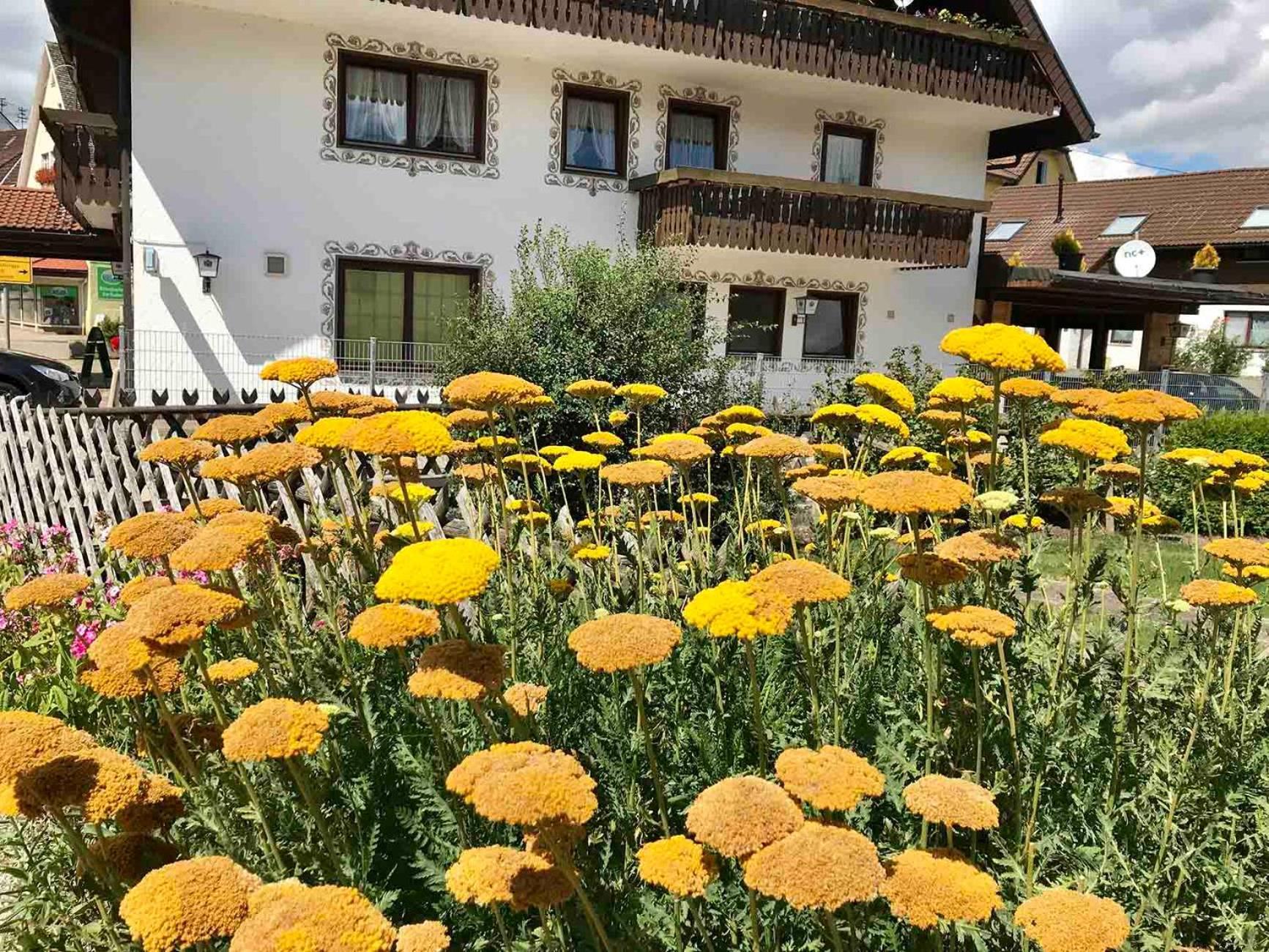 Gaestehaus Roessle Rötenbach 외부 사진